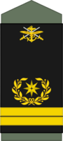 WO2.png