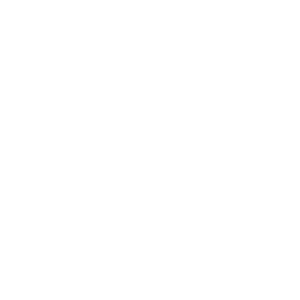 Division9 Logo BO3.webp