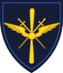 Coa military sleeve airforce.png