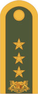 Lieutenantgeneral morrawia newest.png