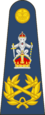 CINC rank insignia Marechaussee.png