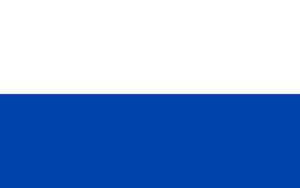 Flag of Stesopol.png