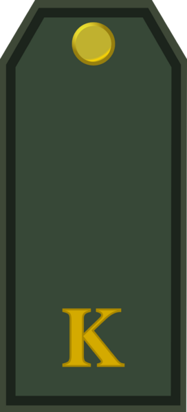 File:Cadet Holyn Ground Forces OF D Service.png