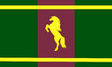 Flag of Tashakum