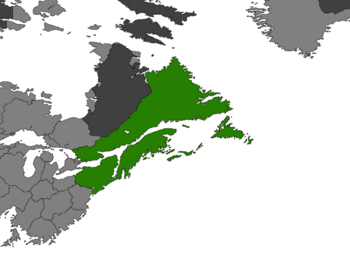 Angevinia (green) in Merica, circa 2319. Nation-States in light gray, neutral or unclaimed zones in dark gray.