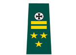 Generalleutnant rank.png