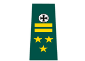 Generalleutnant rank.png