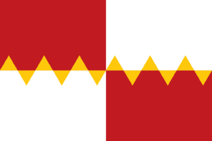 Flag guyansailles.png