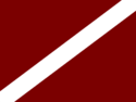 Flag of Zhynoro