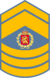 Royal Air Force, Chief Master Sergant Patch.png