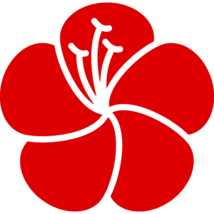 Labour Party (Konalani).png