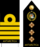 ACSPEC CAPT Rank.png