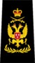 Chief Warrant Officer of the IASC.png