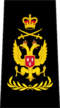 Chief Warrant Officer of the IASC.png