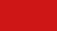 Flag of the SDP