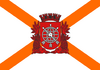 Flag laranjeiras.png