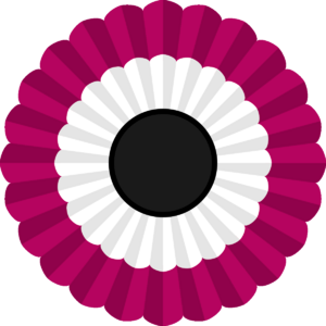 Cockade of the NUM.png