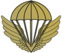 Romaian airborne branch insignia.png