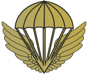 Romaian airborne branch insignia.png