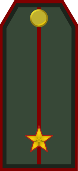 File:Service Holyn Ground Forces OF 1.png
