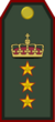 Colonel General
