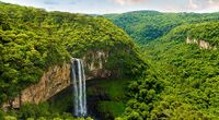 Waterfall at the Auralian Rainforest