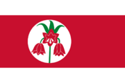 Cultural flag of Karaalani people