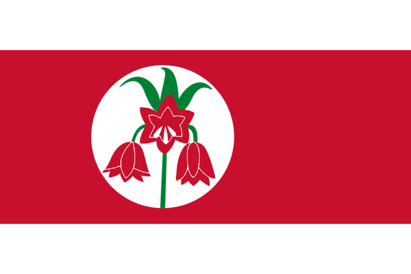 File:Karaalan Ethnic flag.png