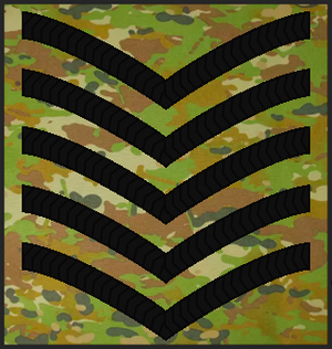 MERPAT SSGT.png