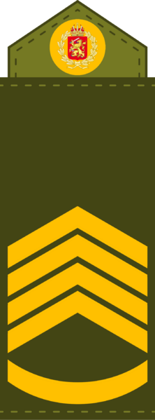 File:Royal Army, Chief Sergeant.png