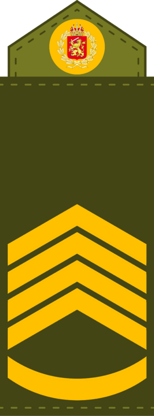 Royal Army, Chief Sergeant.png