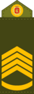 Royal Army, Chief Sergeant.png