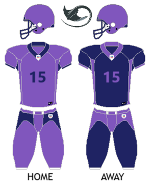 Tregueux Rays uniform.png