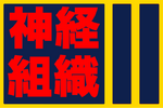 Flag of Shinkei.png