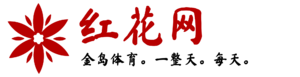 Honghua network logo.png