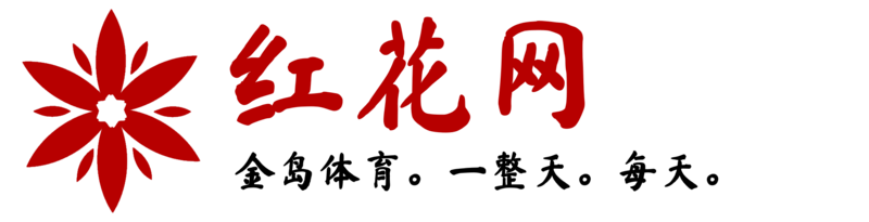 File:Honghua network logo.png