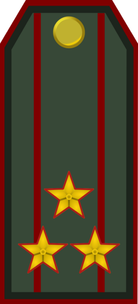 File:Service Holyn Ground Forces OF 5.png