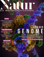 November 2019 cover of Natur