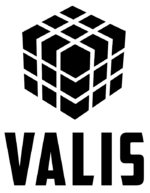 Valis Security Group logo.png