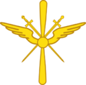 Air Force Branch insignia.png