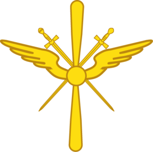 Air Force Branch insignia.png