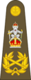 CINC rank insignia army.png