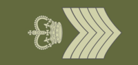 Aswick Army Warrant Officer.png