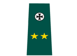 Leutnant rank.png