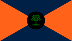 Nierflag.png