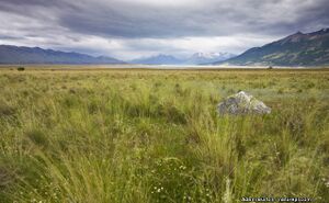 Grasslands of Gotneska.jpg