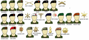 Talvistovan Beret Standards.png