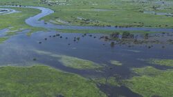 Zambezi river flood.jpg