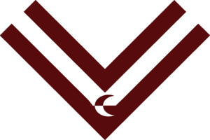 Tyinen Volunteer Force.svg.png