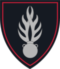 National Gendarmerie patch